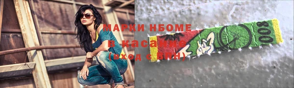 СК Алексин