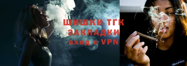 СК Алексин