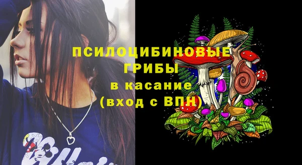 СК Алексин