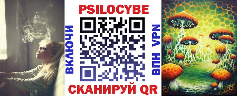 Псилоцибиновые грибы Magic Shrooms  Мичуринск 